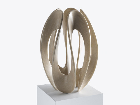 Abstract sculpture by Gianpietro Carlesso 3Dモデル