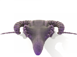 Ram Skull 3D Model