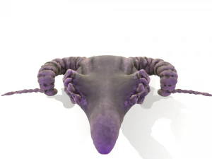 Ram Skull 3D Model