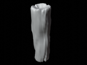 Trunk Modello 3D