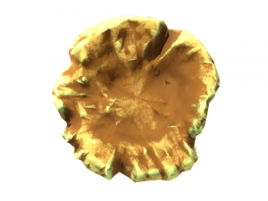 Trunk Modello 3D