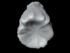 Trunk Modello 3D