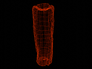 Trunk Modello 3D