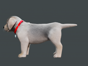 Cartoon Dog Rigged 3D Модель