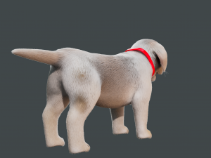 Cartoon Dog Rigged 3D Модель