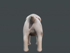 Cartoon Dog Rigged 3D Модель
