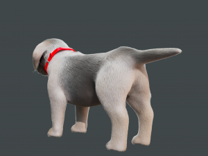 Cartoon Dog Rigged 3D Модель