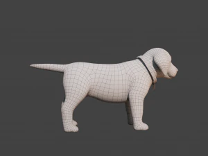 Cartoon Dog Rigged 3D Model