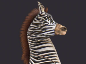 Cartoon Donkey Rigged 3D Model