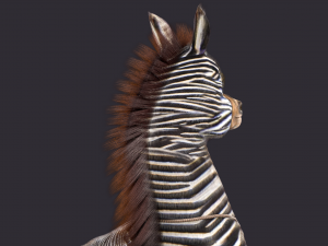 Cartoon Donkey Rigged Model 3D