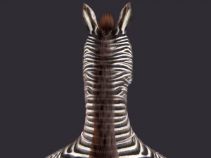 Cartoon Donkey Rigged Model 3D