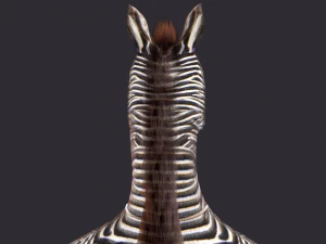 Cartoon Donkey Rigged 3D Model