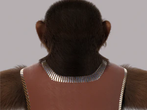 Cartoon Monkey Rigged 3D Model