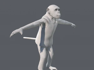 Cartoon Monkey Rigged 3D Model