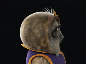 Cartoon OWl Rigged 3D Model