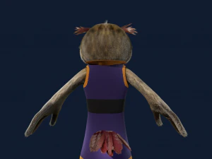 Cartoon OWl Rigged 3D Model