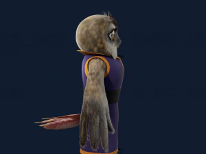 Cartoon OWl Rigged 3D Model