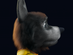 Cartoon Young Wolf Rigged Modelo 3D