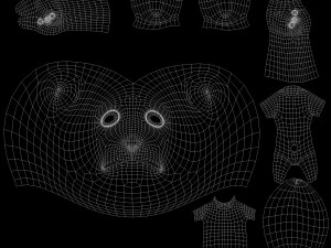 Cartoon Young Wolf Rigged 3D Model