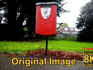 Park Dog Bin - 8K UHD - 3D Scan Model Low Poly Modèle 3D