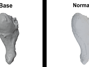 Chicken Leg - 8K UHD 3D Scan Model 3D मॉडल