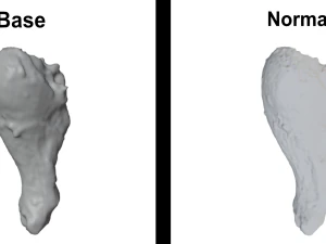 Chicken Leg - 8K UHD 3D Scan Model 3D Model