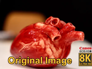 Realistic Heart - 8K UHD Scan Model 3D Model