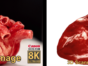 Realistic Heart - 8K UHD Scan Model Modèle 3D