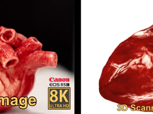Realistic Heart - 8K UHD Scan Model 3D Model