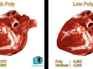 Realistic Heart - 8K UHD Scan Model 3D Model