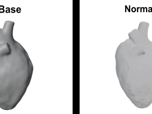Realistic Heart - 8K UHD Scan Model Modèle 3D