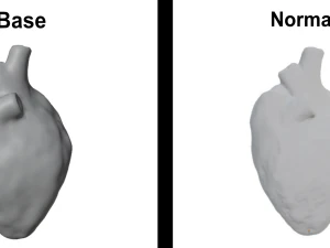 Realistic Heart - 8K UHD Scan Model 3D Model
