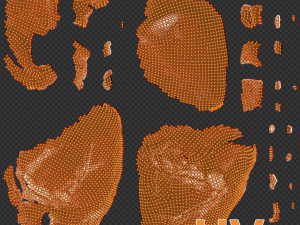 Realistic Heart - 8K UHD Scan Model Modèle 3D