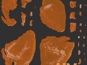 Realistic Heart - 8K UHD Scan Model 3D Model
