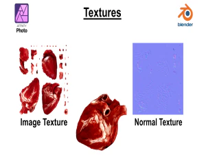 Realistic Heart - 8K UHD Scan Model 3D Model