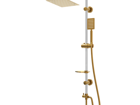 Bathroom Shower 20X20 Modèle 3D