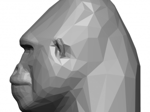 Stylized Gorilla 3D 模型