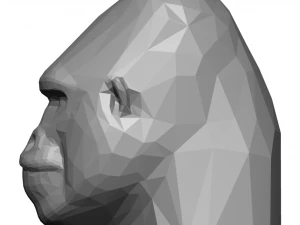 Stylized Gorilla 3D Model