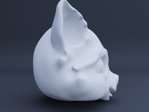 Stylized Racoon Head 3D Model