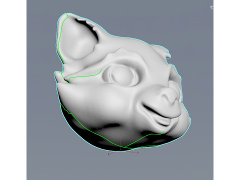 Stylized Racoon Head 3D Model