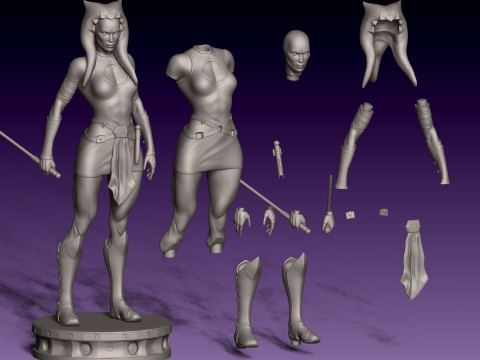 स्टार वार्स से अहसोका तानो 3D प्रिंट मॉडल