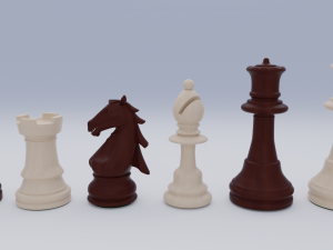 Vertical Chess-set in a Cupboard Model 3D