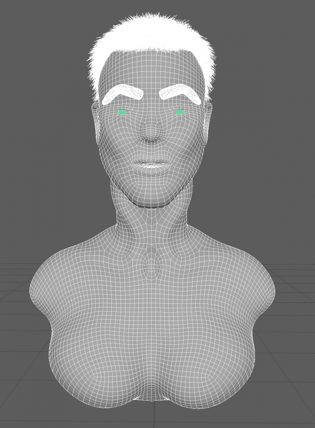 Woman head 3D-Modell .c4d .max .obj .3ds .fbx .stl .blend 