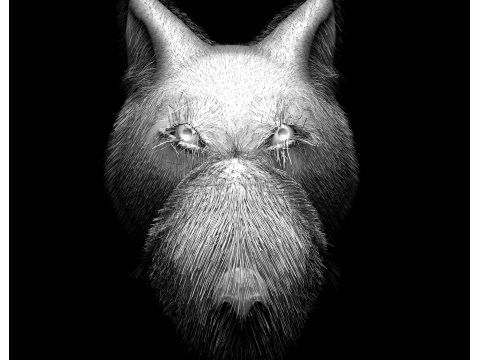 Wolf 3D Model