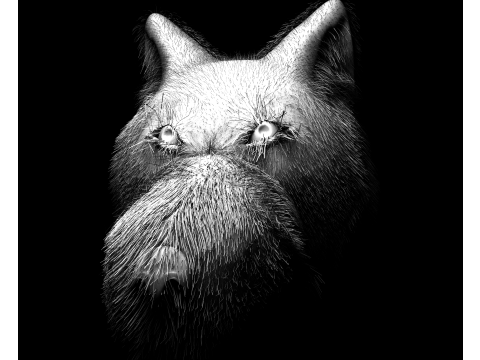 Wolf 3D Model