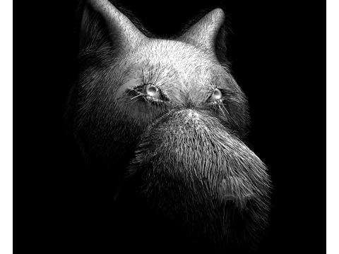 Wolf 3D Model