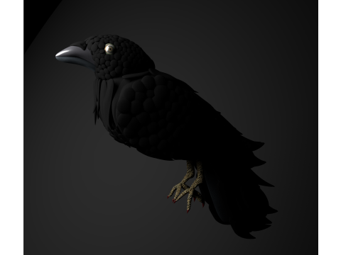 Raven 3Dモデル