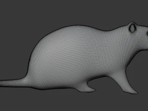 Rat 3D Model