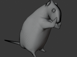 Rat 3D 模型