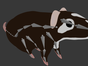 Rat 3D 模型
